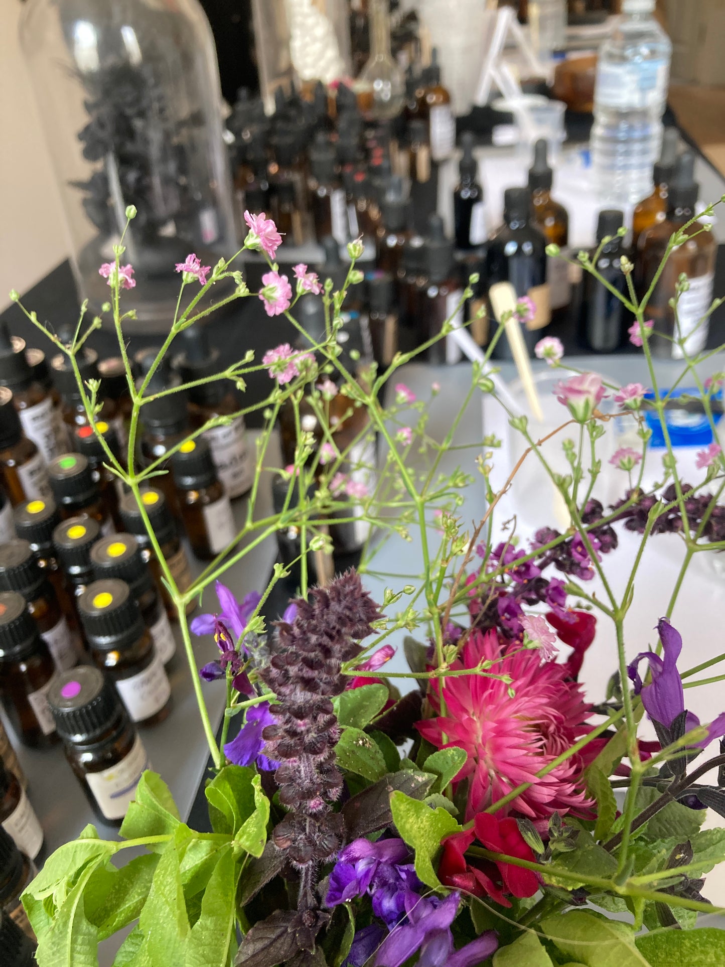 Perfume Making Workshop March 15, 2026