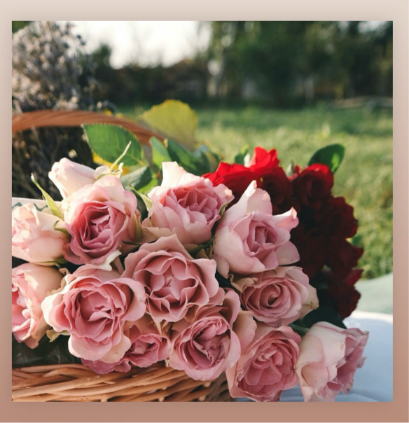 Holy Rose Perfume
