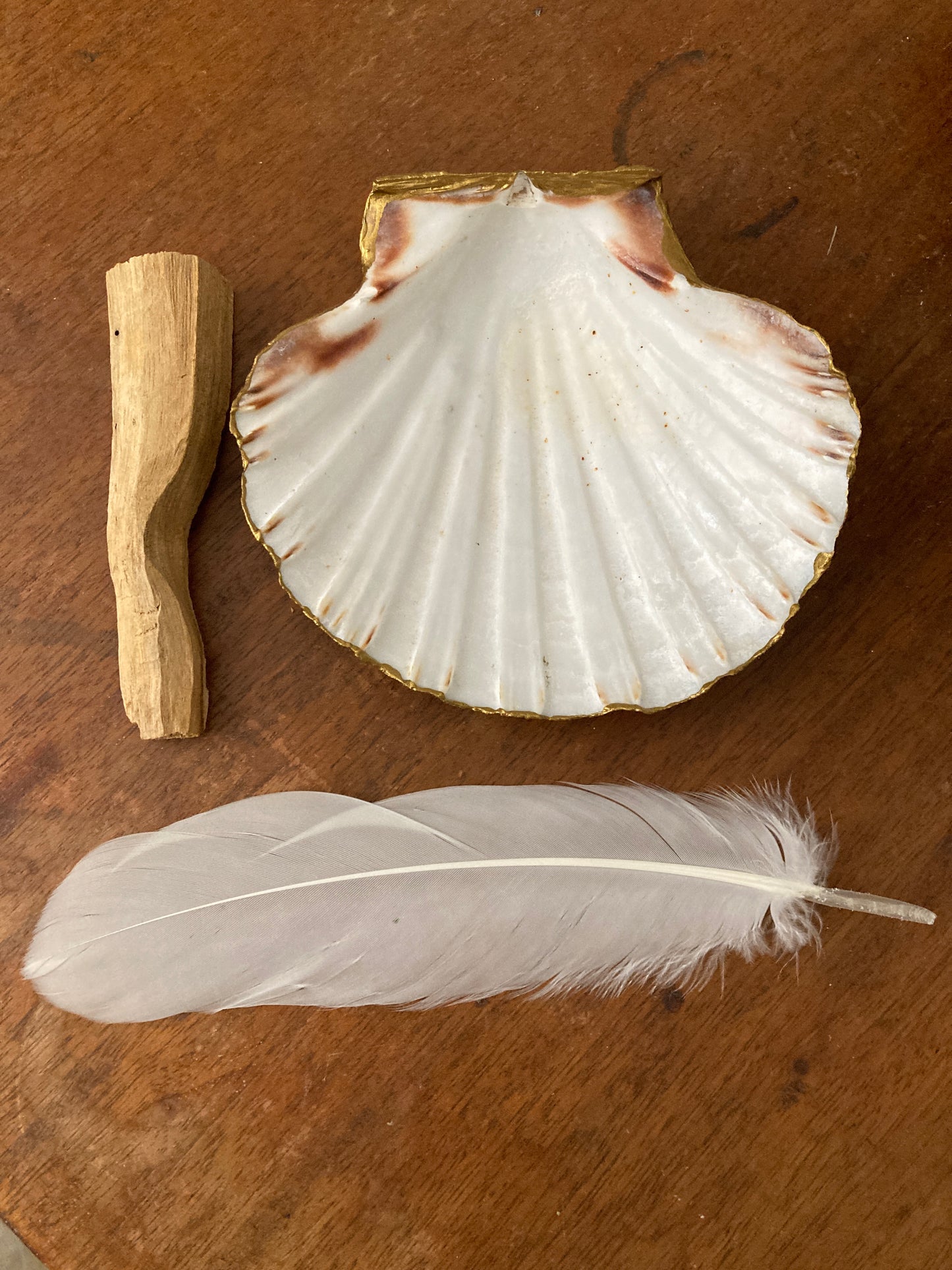 Palo Santo Wood (wild crafted) x1 stick