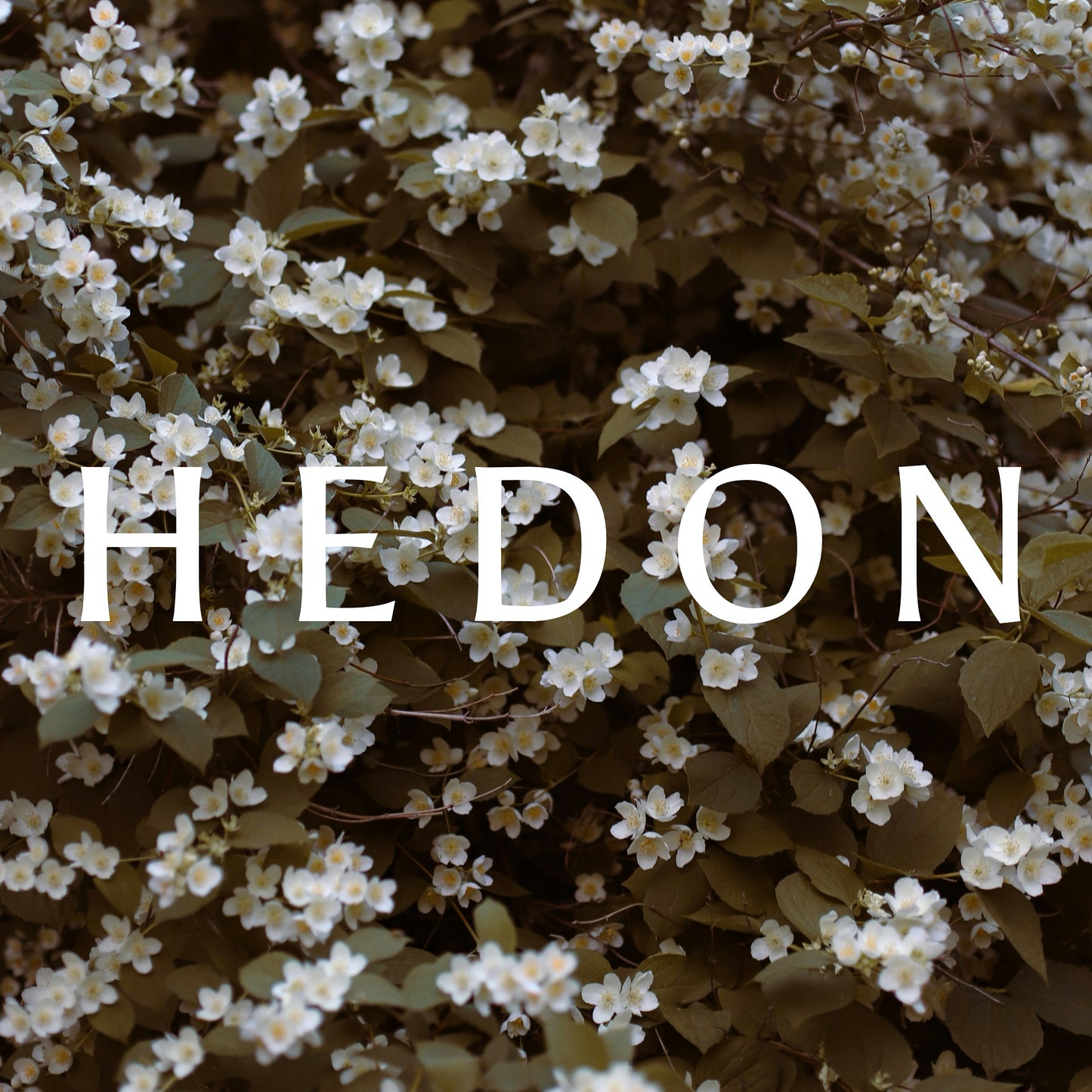 HEDON perfume