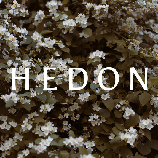 HEDON perfume