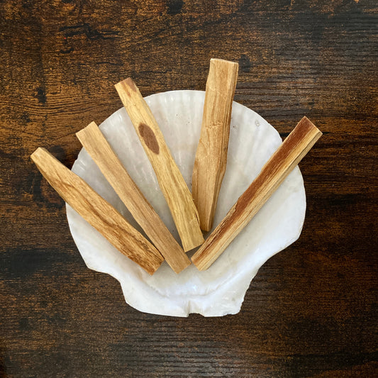 Palo Santo Wood (wild crafted) x1 stick