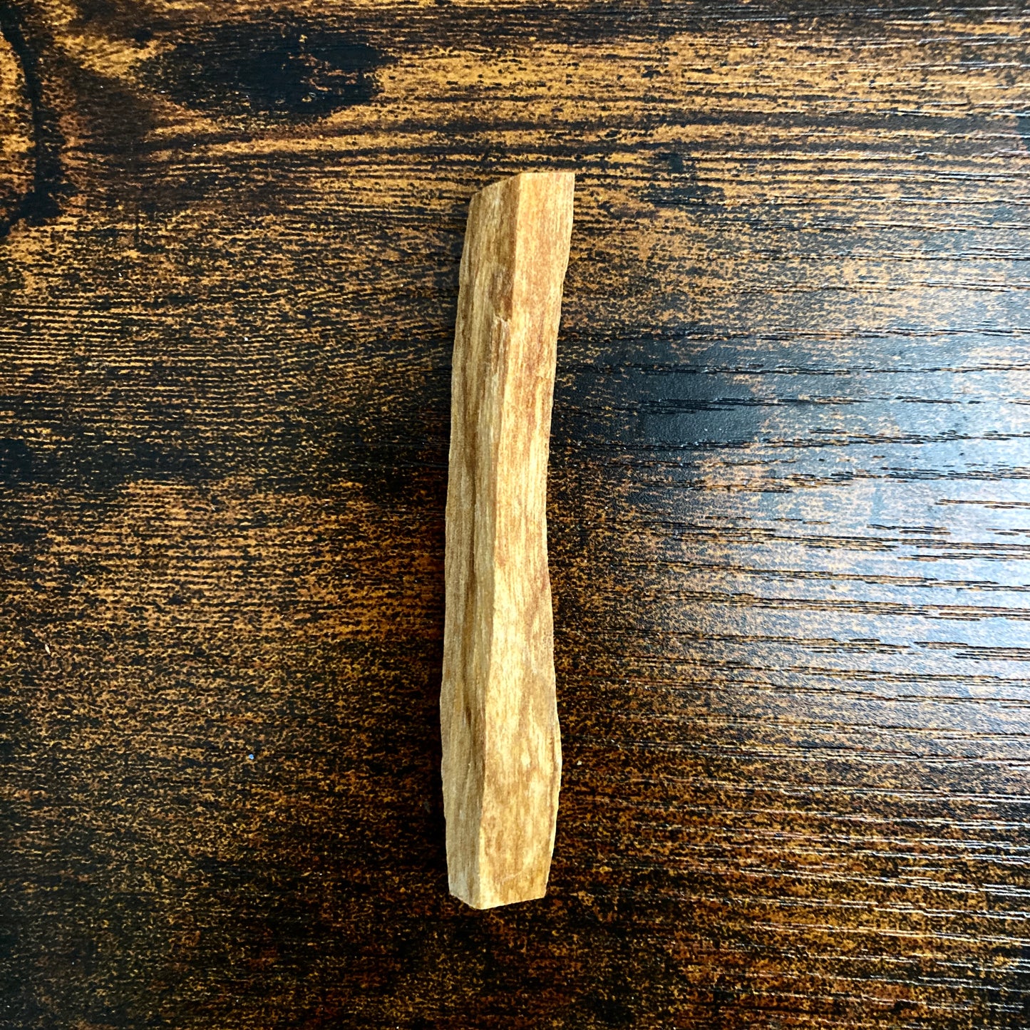 Palo Santo Wood (wild crafted) x1 stick