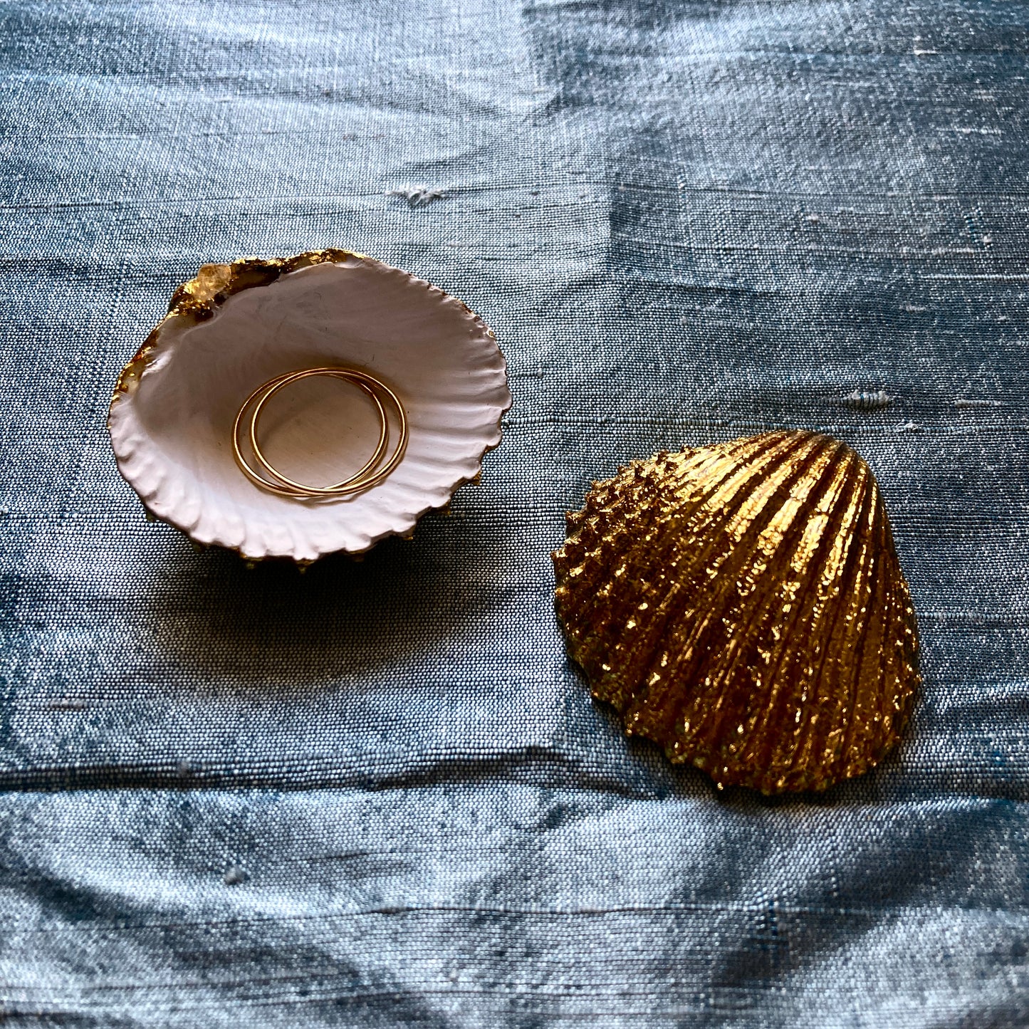 Sea Shell dishes