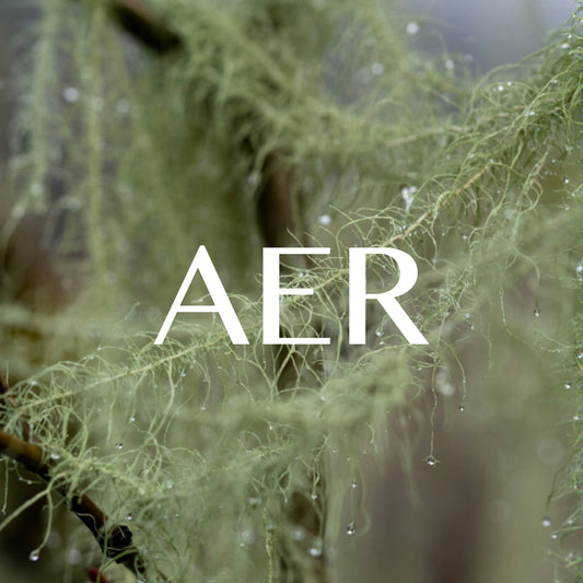 Aer