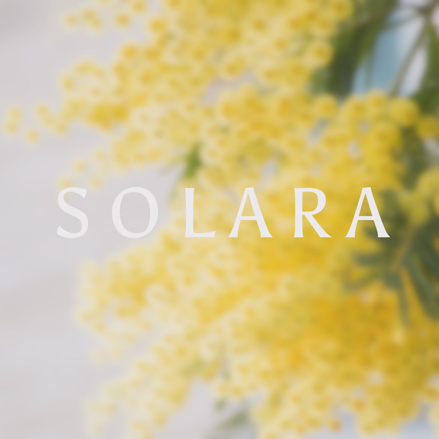 SOLARA Perfume