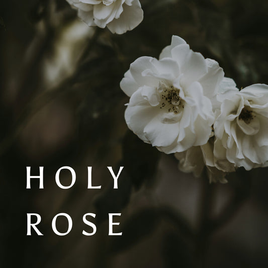 Holy Rose Perfume