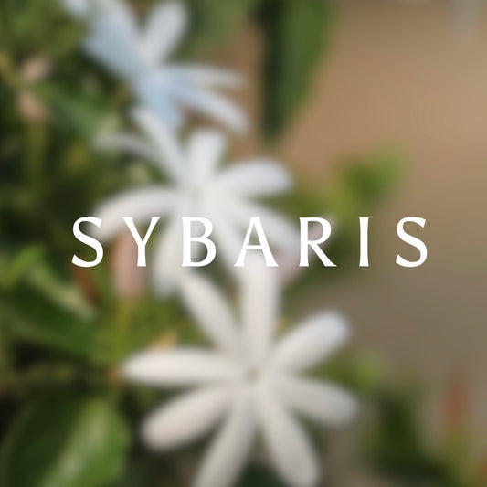 SYBARIS PARFUM